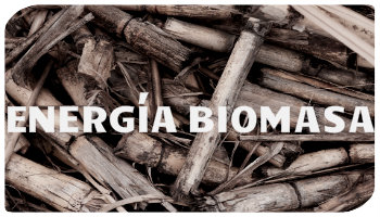 generación biomasa